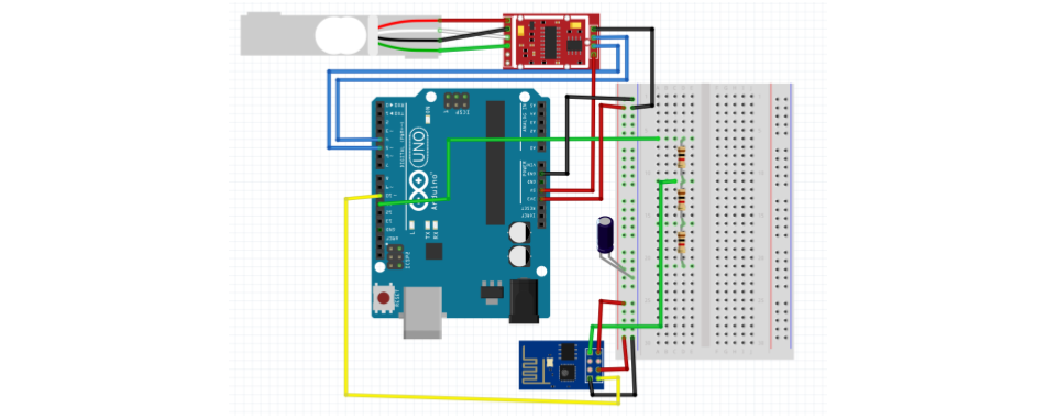 Budgie Feeder System